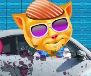 konuşan kedi araba yıkama